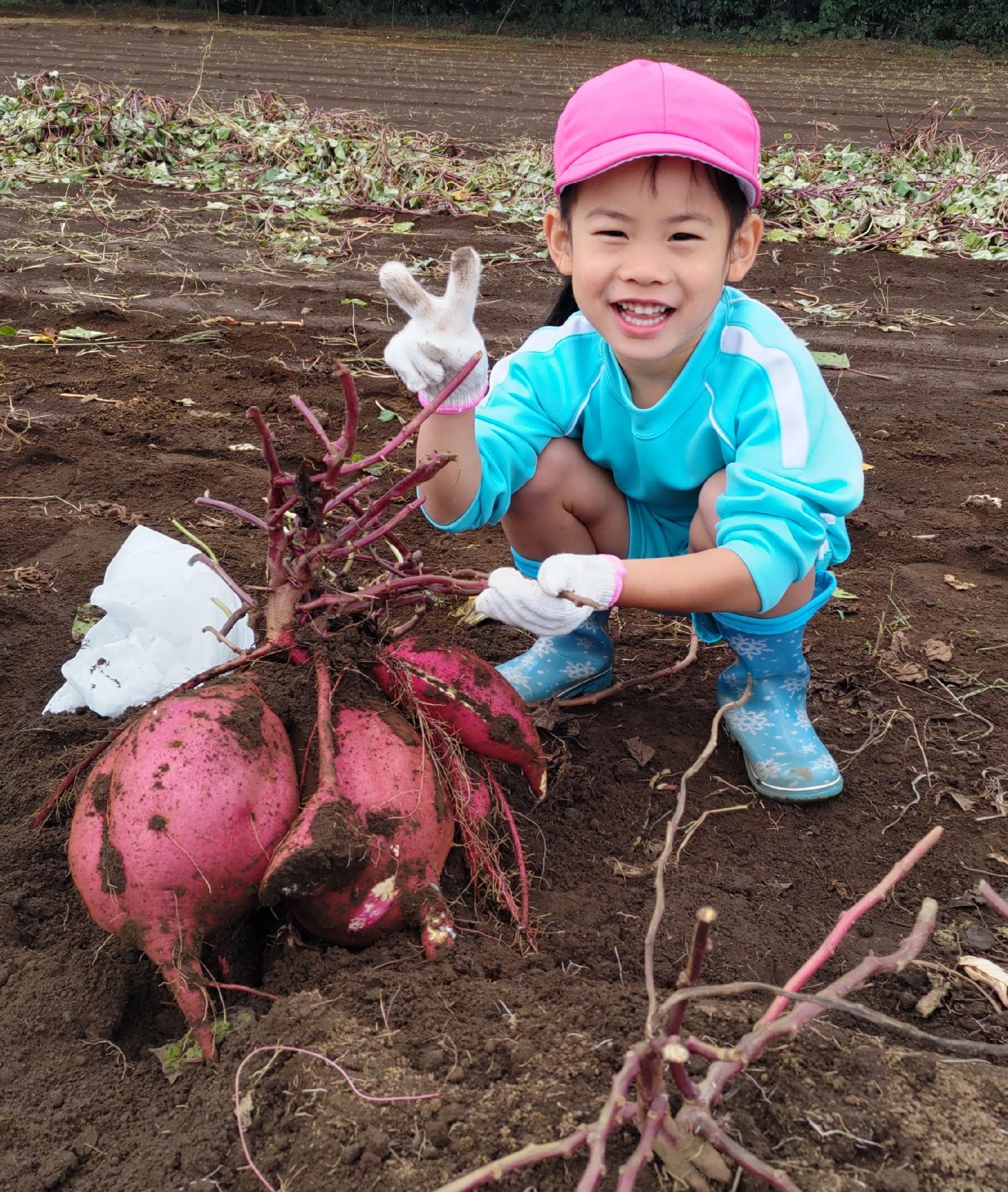 令和7年10月23日(木) 年中お芋掘り 給食